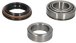 BTA Set rulment roata BTA H20307BTA (H20307BTA) - automobilus