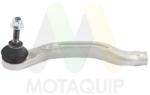 MOTAQUIP Cap de bara MOTAQUIP LVTR2018 (LVTR2018) - automobilus