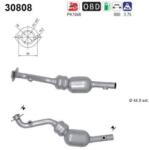 AS-PL Catalizator AS-PL 30808 (30808)