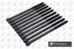 BGA Set surub, chiulasa BGA BK4396 (BK4396)