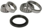 BTA Set rulment roata BTA H1M008BTA (H1M008BTA) - automobilus