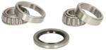 BTA Set rulment roata BTA H15002BTA (H15002BTA) - automobilus