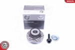 ESEN SKV Set rulment roata ESEN SKV 29SKV209 (29SKV209)