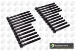 BGA Set surub, chiulasa BGA BK6379 (BK6379)