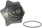 THERMOTEC Pompă de apă, răcire motor THERMOTEC WP-CA168 (WP-CA168)