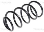 TRISCAN Arc spiral TRISCAN 8750 16092 (8750 16092) - automobilus