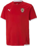 PUMA TEAM LIGA JERSEY JR (70492501-zb)