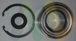 MOTAQUIP Set rulment roata MOTAQUIP LVBW1251 (LVBW1251) - automobilus