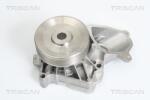 TRISCAN Pompă de apă, răcire motor TRISCAN 8600 17010 (8600 17010)
