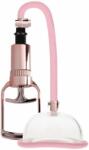Pumped Rose Gold Vagina de aur pompă de vid