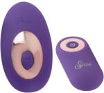 Sweet Smile Panty Vibrator Vibrator