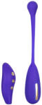 California Exotic Oul vibrator pentru electrosex Midnight Dream