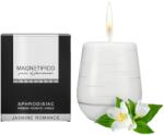 Valavani Lumânare parfumată afrodisiacă Scentara (200 g)