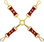 Taboom Bondage in Luxury Hogtie