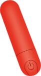 INTT Double Fun Vibrator