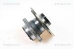 TRISCAN Set rulment roata TRISCAN 8530 10262 (8530 10262) - automobilus