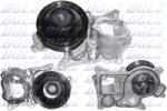 DOLZ Pompă de apă, răcire motor DOLZ B250 (B250)