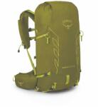 Osprey Раница Talon Velocity 30 (10005891)
