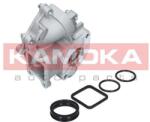 KAMOKA Pompă de apă, răcire motor KAMOKA T0049 (T0049)