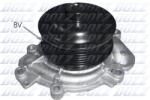 DOLZ Pompă de apă, răcire motor DOLZ M230 (M230)