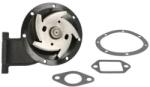 THERMOTEC Pompă de apă, răcire motor THERMOTEC WP-RV119 (WP-RV119)