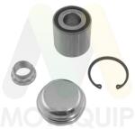 MOTAQUIP Set rulment roata MOTAQUIP LVBW1352 (LVBW1352) - automobilus