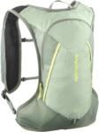 Salomon Rucsac Salomon Cross 8, 8 l, green milieu/agave green/sharp green Rucsac tura