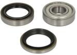 BTA Set rulment roata BTA H16004BTA (H16004BTA) - automobilus