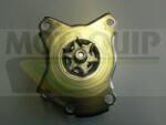MOTAQUIP Pompă de apă, răcire motor MOTAQUIP VWP851 (VWP851)
