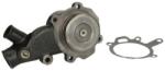 THERMOTEC Pompă de apă, răcire motor THERMOTEC WP-MF105 (WP-MF105)