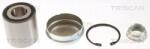TRISCAN Set rulment roata TRISCAN 8530 23222 (8530 23222) - automobilus