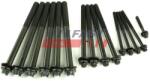 FAST Set surub, chiulasa FAST FT51503 (FT51503)