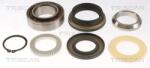 TRISCAN Set rulment roata TRISCAN 8530 14263 (8530 14263) - automobilus
