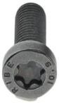 Bosch Surub BOSCH F 00N 202 191 (F 00N 202 191)