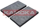 KAMOKA Filtru, aer habitaclu KAMOKA F505301 (F505301)