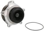THERMOTEC Pompă de apă, răcire motor THERMOTEC WP-DF122 (WP-DF122)