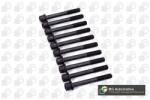 BGA Set surub, chiulasa BGA BK6371 (BK6371)