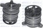 DOLZ Pompă de apă, răcire motor DOLZ A258 (A258)