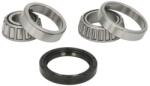 BTA Set rulment roata BTA H2A001BTA (H2A001BTA) - automobilus