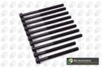 BGA Set surub, chiulasa BGA BK4302 (BK4302)