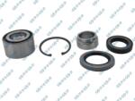 GSP Set rulment roata GSP GKX0022 (GKX0022)