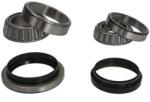BTA Set rulment roata BTA H11003BTA (H11003BTA) - automobilus