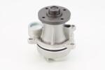 Continental Ctam Pompă de apă, răcire motor CONTINENTAL CTAM WP6135 (WP6135)
