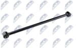 NTY Brat, suspensie roata NTY ZWT-CH-031 (ZWT-CH-031)