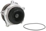 THERMOTEC Pompă de apă, răcire motor THERMOTEC WP-DF121 (WP-DF121)