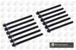 BGA Set surub, chiulasa BGA BK9600 (BK9600)
