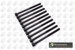 BGA Set surub, chiulasa BGA BK3309 (BK3309)