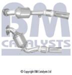 Bm Catalysts Catalizator BM CATALYSTS Approved BM80250H (BM80250H)