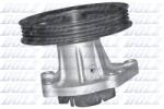 DOLZ Pompă de apă, răcire motor DOLZ T221 (T221)