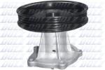 DOLZ Pompă de apă, răcire motor DOLZ O271 (O271)